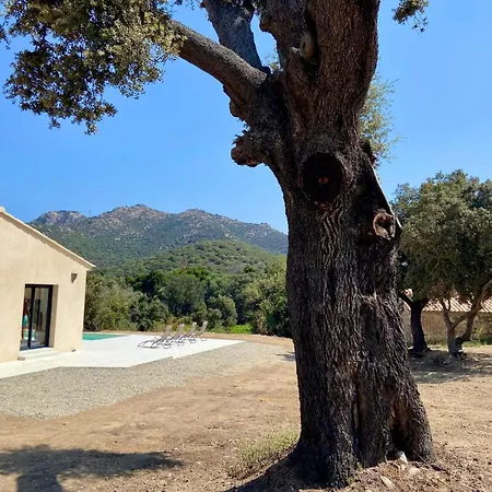 Casa Serena De Lozari 5 Kilometres Ile Rousse 12 Kilometres Ferienhaus
